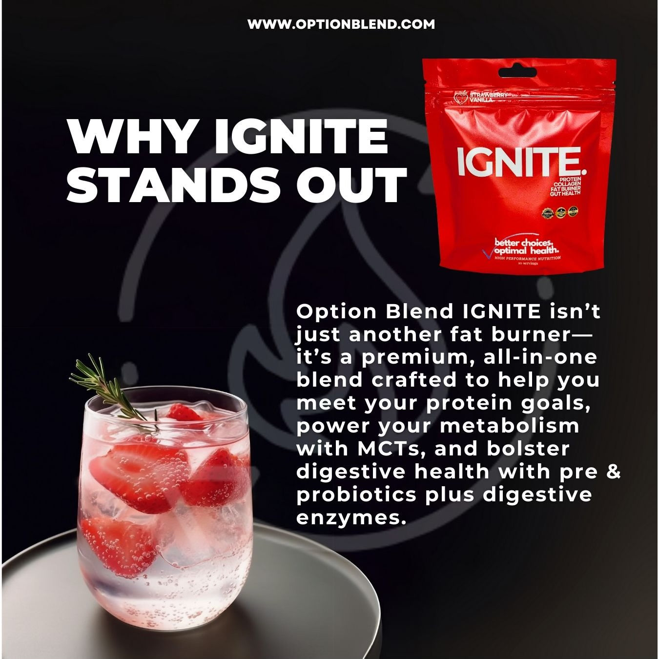 IGNITE: A fusion of collagen peptides, protein isolates, expertly balanced electrolytes, and a focused dose of MCT's to deliver immediate ketone energy while promote optimal gut-brain communication support.